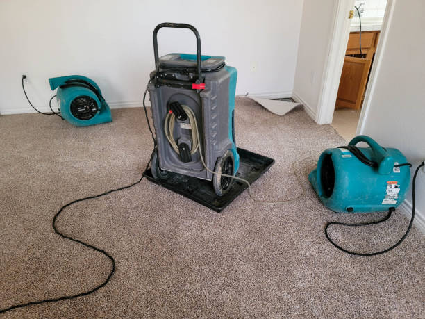 Best Flooded house restoration  in Elgin, IL
