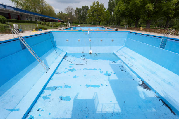 Best Water damage mitigation services  in Elgin, IL