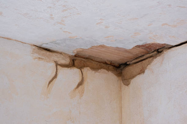 Best Water damage restoration near me  in Elgin, IL