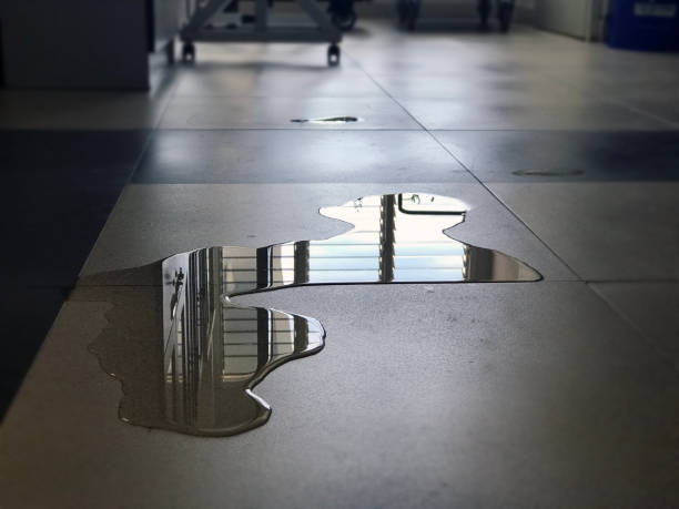 Water damage restoration experts in Elgin, IL