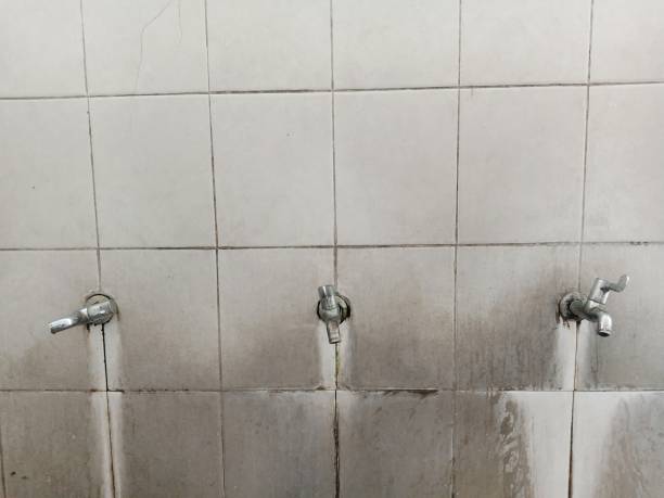 Best Water damage restoration experts  in Elgin, IL