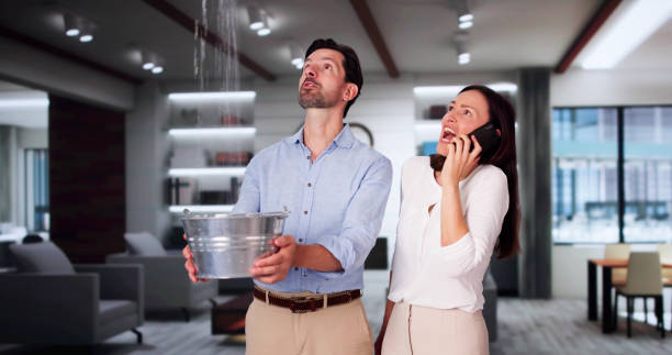Best Local water damage restoration  in Elgin, IL