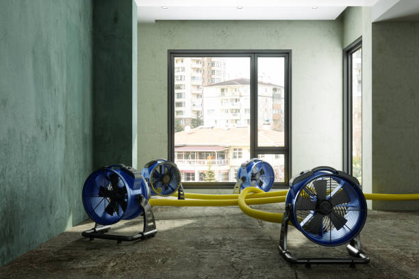 Best Fire Damage Restoration  in Elgin, IL